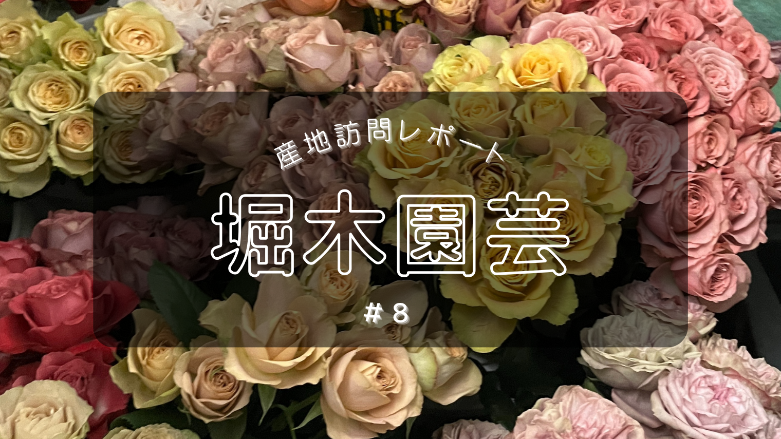 産地訪問レポート＃8 堀木園芸